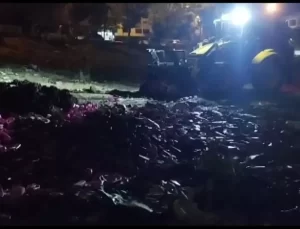 Boş Arsaya İndirilen Temizlik Ürünleri Kapışıldı