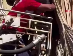 Budama Yaparken Düştü, Hayatını Kaybetti