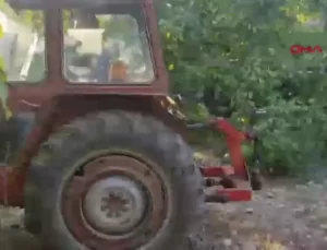 Burdur’da Ceviz Üretimi 30 Yılda Yüzde 833 Arttı