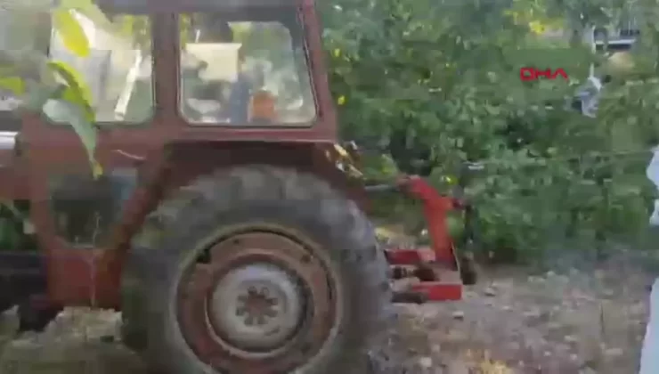 Burdur’da Ceviz Üretimi 30 Yılda Yüzde 833 Arttı