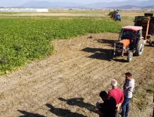 Burdur’da Pancar Hasadı Devam Ediyor