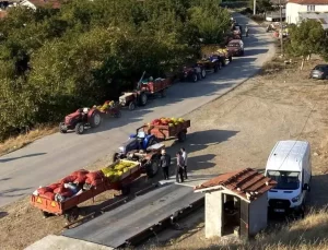 Büyükbelen’de Ceviz Hasadı Yoğun