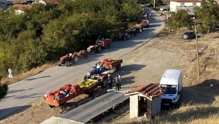Büyükbelen’de Ceviz Hasadı Yoğun