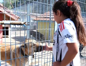 Büyükçekmece’de Çocuklar Dünya Hayvanları Koruma Günü’nde Can Dostları ile Buluştu