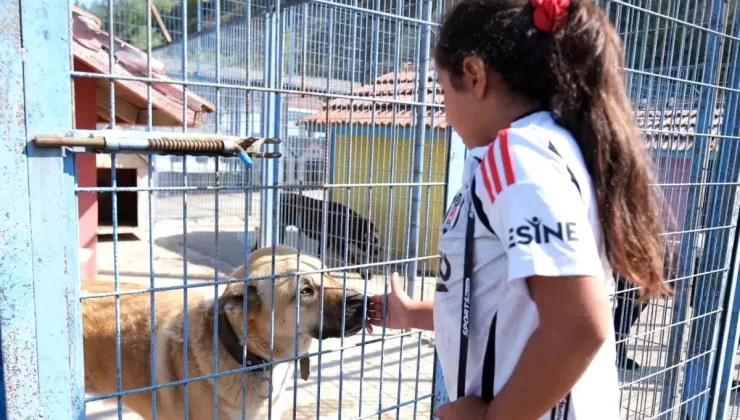 Büyükçekmece’de Çocuklar Dünya Hayvanları Koruma Günü’nde Can Dostları ile Buluştu