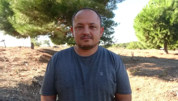 Çanakkale Savaşları’nda Vatan Sevgisi