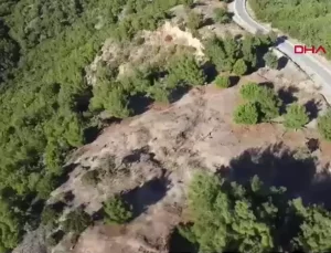 Çanakkale Savaşları’nın Azim Dolu Emirleri