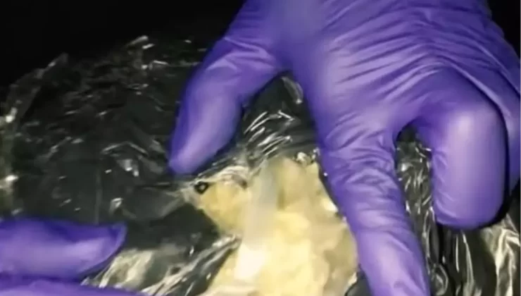 Çanakkale’de Uyuşturucu Operasyonu: 3 Tutuklama