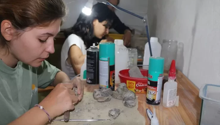 Çankırı’da 150 Fosil Bulundu