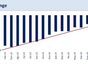 Cari Açık Milli Gelire Oranı %1’in Altında