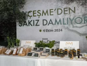 Çeşme’de Sakız Ağaçı Projesi Başlatıldı