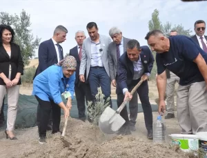 CHP Lideri Özgür Özel, Zeytin Hasadı Yaptı