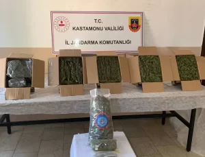 Cide’de Uyuşturucu Operasyonu: Bir Tutuklama