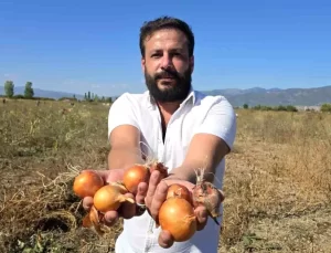 Çiftçiden Bedava Soğan Dağıtımı
