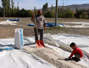 Çiftçiler Giderler Yüzünden Mağdur