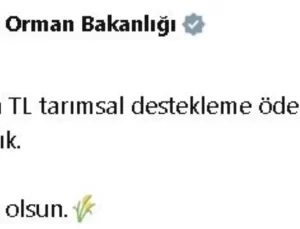 Çiftçilere 185 Milyon Lira Destek