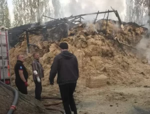 Çorum’da Traktör Devrildi, Bir Kişi Ağır Yaralandı