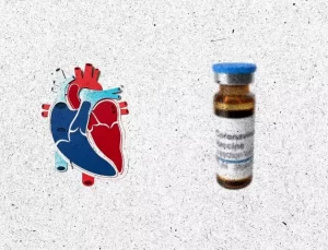 COVID-19’un Kalp Sağlığı Üzerindeki Etkileri