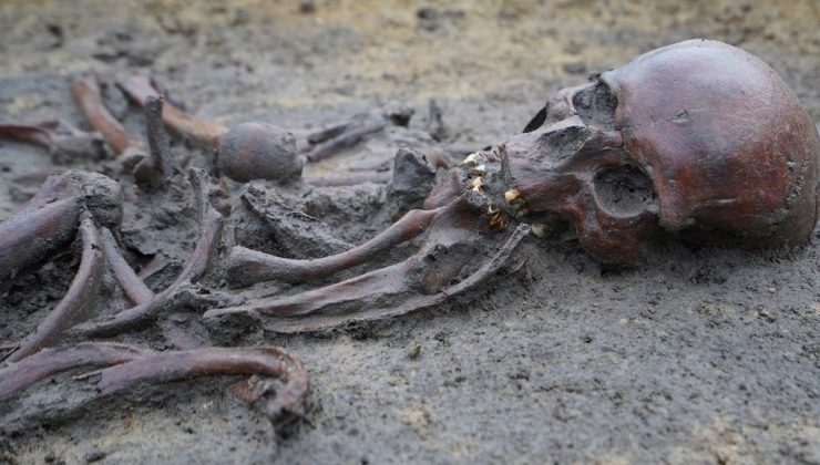 Danimarka’da tarihi keşif: Çok iyi korunmuş 50 Viking iskeleti  bulundu!