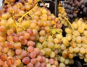 Denizli’de Yerel Üzümler İçin Islah Çalışması