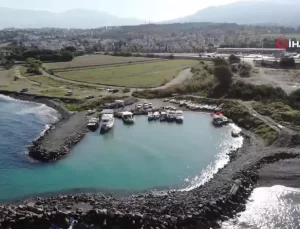 Depremzede Aile Jumbo Karidesle Geçiniyor