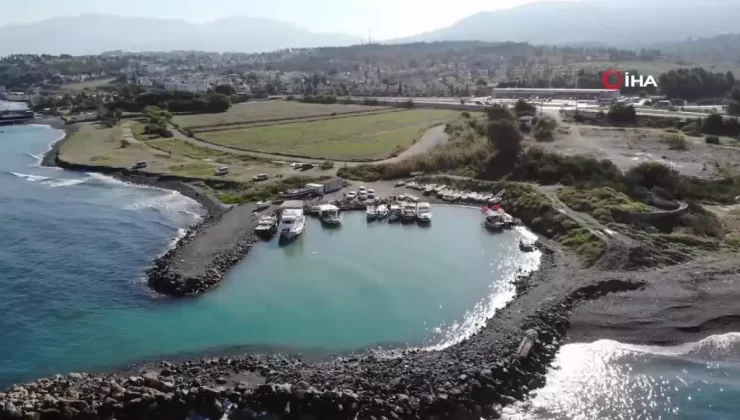 Depremzede Aile Jumbo Karidesle Geçiniyor