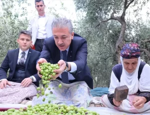 Derik’te Zeytin Hasadı Desteklendi