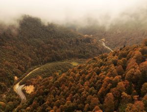 Doğu Karadeniz’de sonbaharın büyüleyici renkleri
