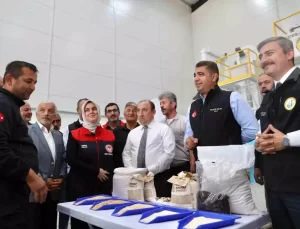 Düzce’de Çeltik Hasat Şenliği Düzenlendi