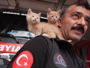 Düzce’de itfaiye çalışanı, kurtarılan kedi yavrularını sahiplendi