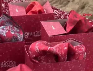 Edirne Kırmızısı Renginin Canlandırılması