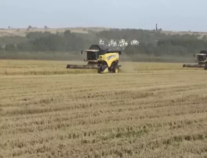 Edirne’de Çeltik Üreticileri Düşük Fiyatlardan Şikayetçi