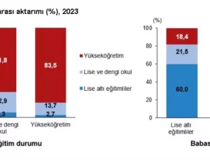 Eğitim Seviyesi ve Ebeveyn Etkisi