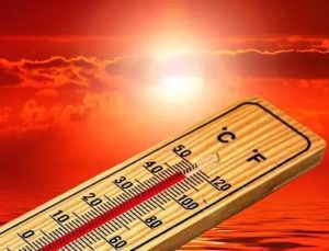 El Nino, Güney Afrika’da 27 milyon insanı etkiledi