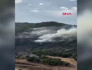 Elazığ’da Orman Yangını Kontrol Altına Alındı