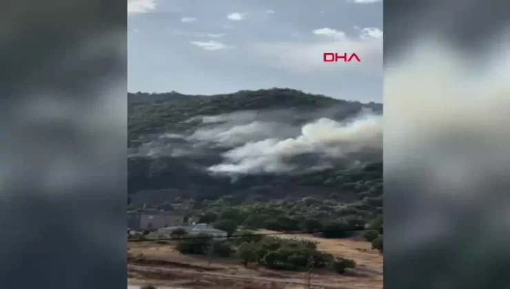 Elazığ’da Orman Yangını Kontrol Altına Alındı