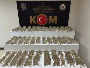 Elazığ’da Sahte Dolar Operasyonu