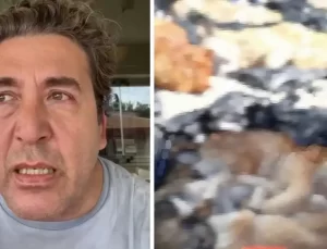 Emre Kınay, hayvan katliamına gözyaşları içinde tepki gösterdi