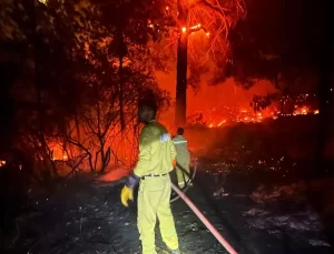 Erdemli’de Orman Yangını: 5 Hektar Zarar