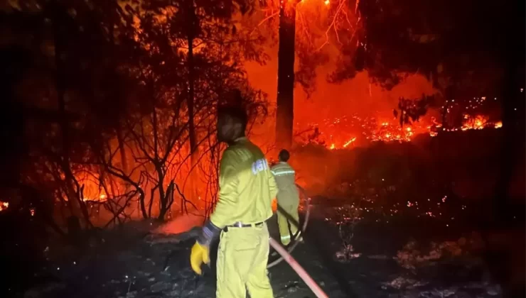 Erdemli’de Orman Yangını: 5 Hektar Zarar