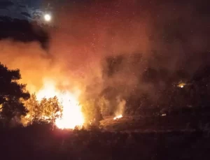 Erdemli’de Orman Yangını