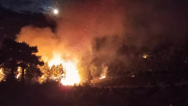 Erdemli’de Orman Yangını