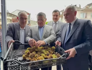 Erfelek’te Kestane Festivali Coşkusu