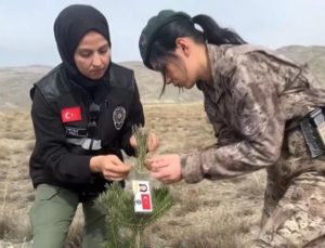 Erzincan’da kadın polisler, şehit meslektaşları için fidan dikti