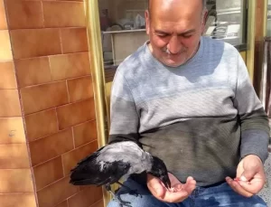 Erzincan’da Karga ve Kasap Dostluğu