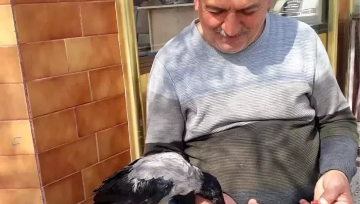 Erzincan’da Karga ve Kasap Dostluğu