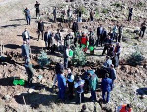Erzurum’da 60 bin fidan toprakla buluştu