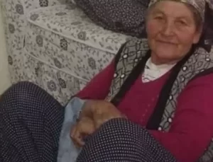 Eşine hakaret nedeniyle annesini öldürdü