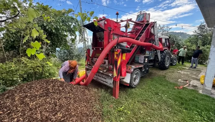 Fındık için Yeni Portatif Patoz Geliştiriliyor