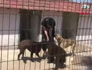 Funda Bonomo İntihar Girişiminde Bulundu